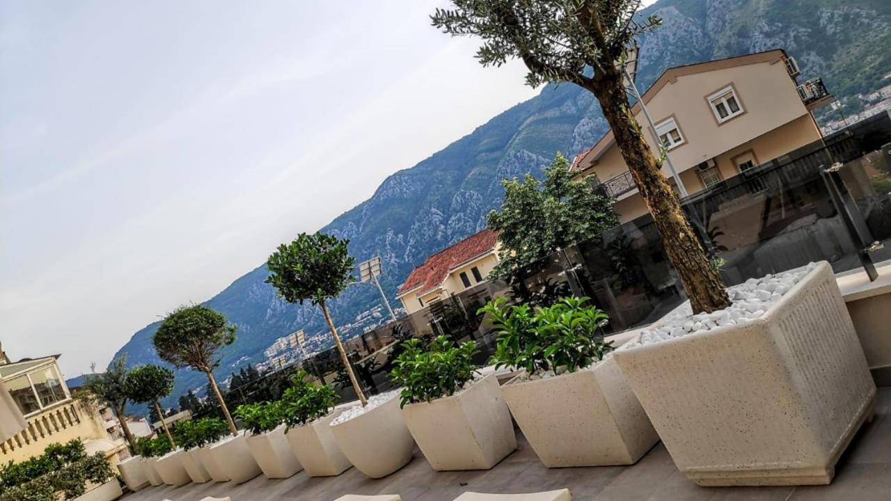 Casa Nuova Leilighet Kotor Eksteriør bilde
